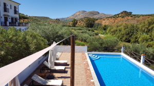 Casa Olea tweet media