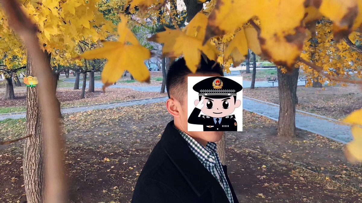 Shawn（接推 tweet media