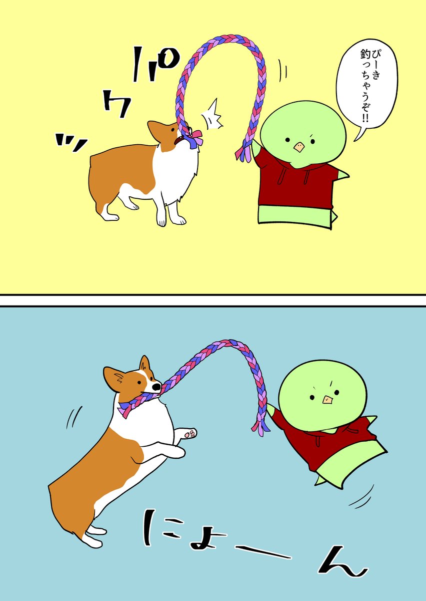 コーギーを釣る 