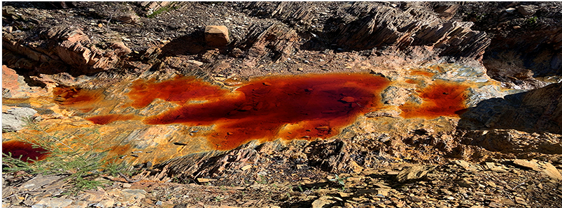 icamcyl's tweet photo. 🗓️ Today, we attend an online #workshop on 'Industrial and Mine Wastes as a Source of Technology Critical Element' by #MoreCovery project @EITRawMaterials.
@GTK_FI @UniEastFinland @UniHuelva 
Read more about this project here: https://t.co/0ppZqO7Ftw https://t.co/EuZpNMa3kj