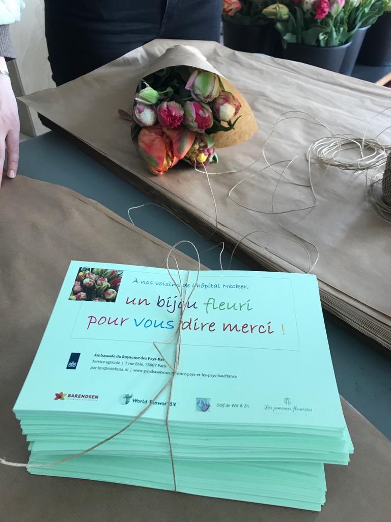 Cindy Heijdra tweet media