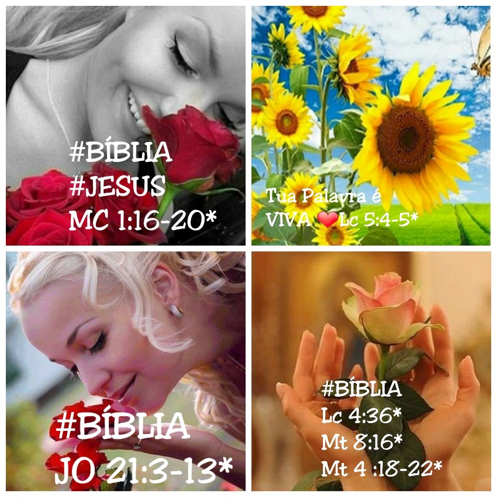 RosaMar14112784's tweet photo. @Jssica55272746 @Paulo97813048 @Rozane_Costa #EducadorEspiritoSanto #maseducaçãodosdiscípulosdeJesus #ConectadosComAPalavra #EficáciaDaPalavraDeDeus #DeusForçaMaior #EducadorEspiritoSanto #BÍBLIA #Evangelho #teacher #HappyHour "A sabedoria clama ao ar livre, levanta a voz nas praças públicas "#prv1:20🕊 https://t.co/QpPZtmK0ca