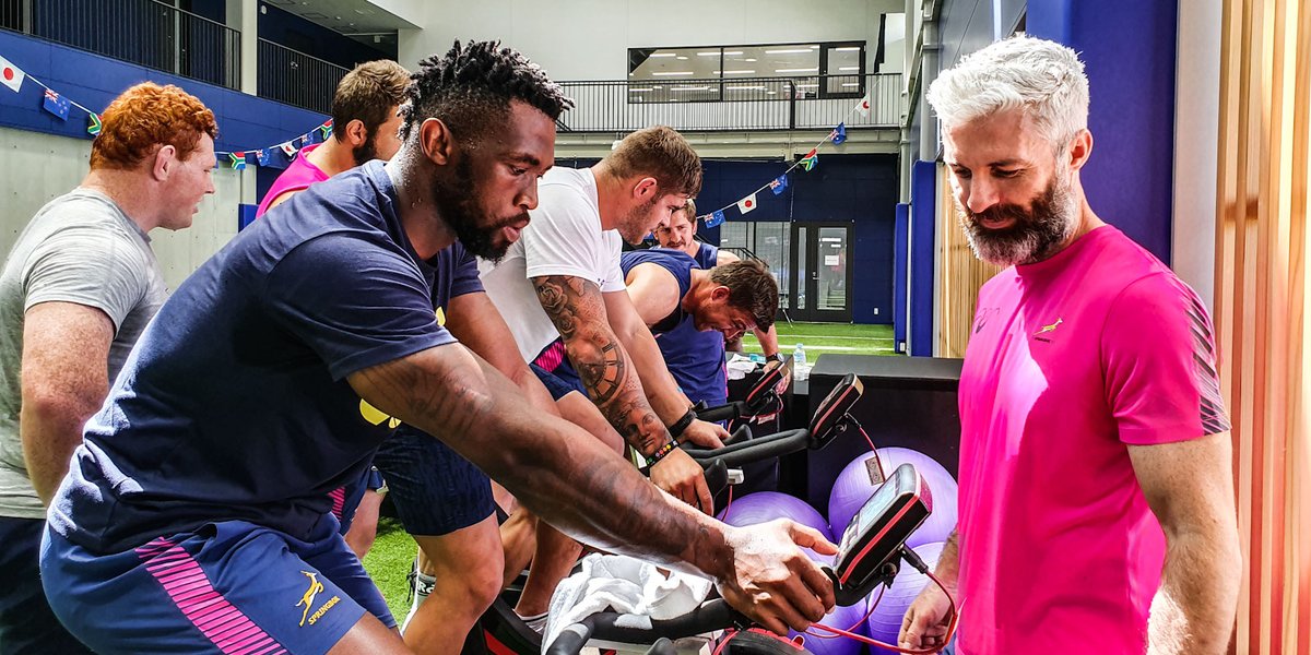 Springboks tweet media