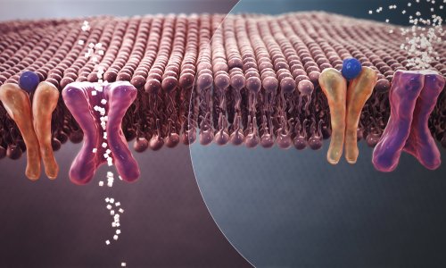 EuropHospital_D's tweet image. Im Zuge der #COVID-19 Pandemie droht eine gefährliche #Unterversorgung von Personen mit chronischen Erkrankungen oder akuten Beschwerden, z.B. #Diabetes, warnt die @DDG_Tweets. healthcare-in-europe.com/de/news/expert…