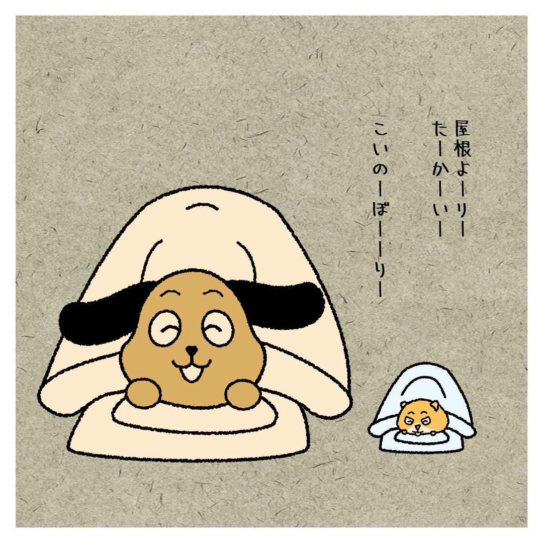 夜更かしゴロン 犬 Goron Wanwan Twitter