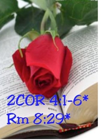 RosaMar14112784's tweet photo. @Jssica55272746 @Paulo97813048 @Rozane_Costa #ConectadosComAPalavra #EficáciaDaPalavraDeDeus #EducadorEspiritoSanto #SerEscolhidoPorDeus #ESPADAdoESPIRITO #RpSp #BÍBLIA #JESUS #AEspadadoEspirito #PraSerFeliz #RpSp #EducadorEspiritoSanto #soupertençadEle "A família do justo permanece firme *#Pr12:7 https://t.co/668z4FPnle