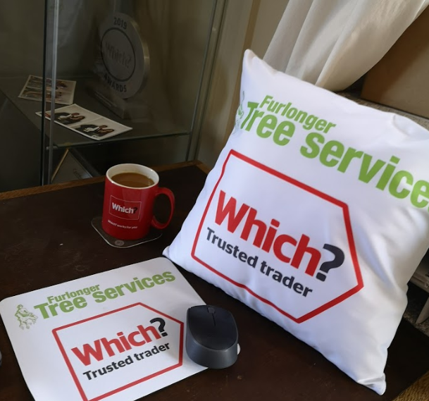 WhichTraders's tweet photo. 🌳 Do join us in congratulating our #WhichTOTM for May, Furlonger Tree Services!

Proud use of the endorsement here 👇 https://t.co/oxTaW6DcKM
