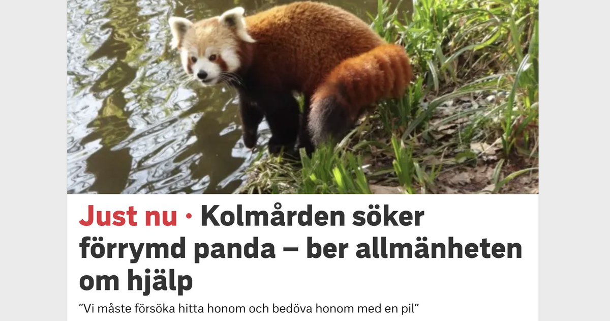 torbjornaskorup's tweet photo. Mina vänner på klubben när jag försvinner iväg någonstans för femte gången utan att säga nåt https://t.co/iGR0PTX2Vt