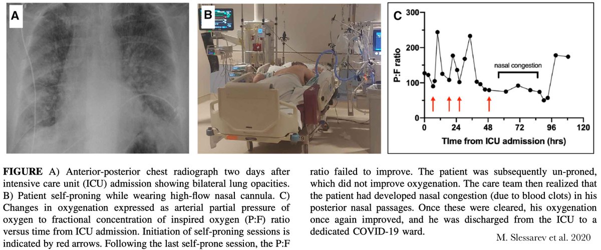𝙟𝙤𝙨𝙝 𝙛𝙖𝙧𝙠𝙖𝙨 💊 tweet media