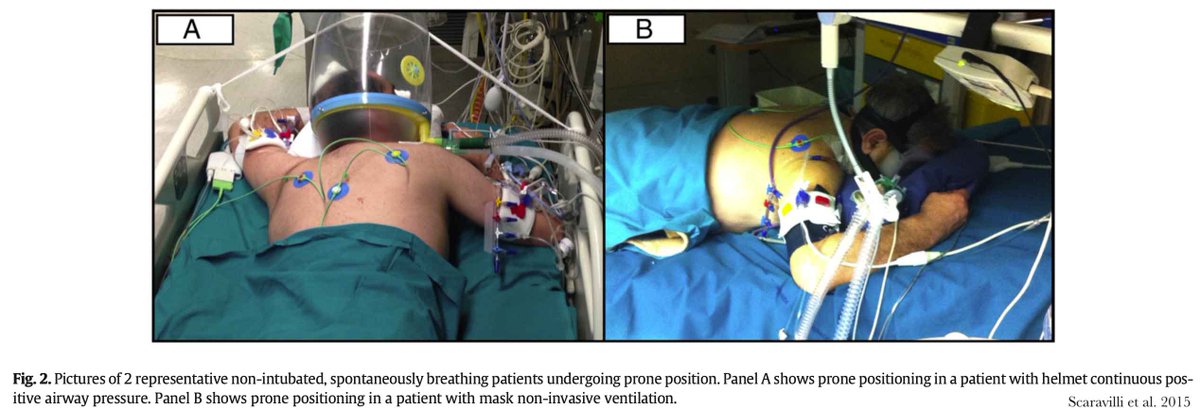 𝙟𝙤𝙨𝙝 𝙛𝙖𝙧𝙠𝙖𝙨 💊 tweet media