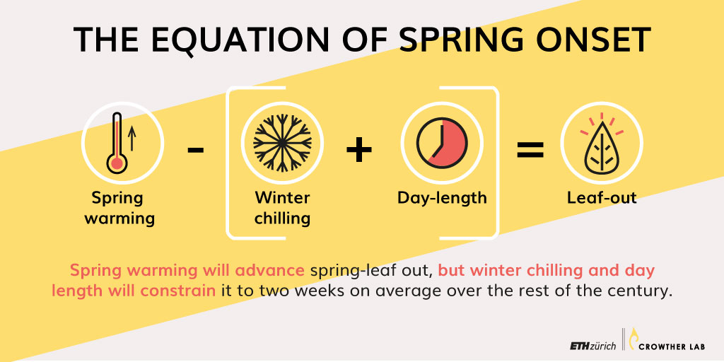 CrowtherLab's tweet photo. π Seems like spring is coming ever earlier? We agree! But, there's a limit.
While spring warming contributes to early leaf-out, factors like #winterchilling and the timing of spring onset (so-called #daylength) may hold it back.
https://t.co/CPKhJSl5Xk #MarchofSpring https://t.co/XOkdwMIW5q