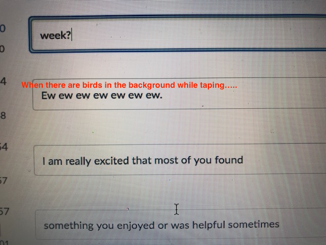 hcpss_nes's tweet photo. While teachers are taping their videos they must include Closed Captioning. However, it is not always accurate! Enjoy today's bloopers... #NEStogether https://t.co/uMZOaggOhR