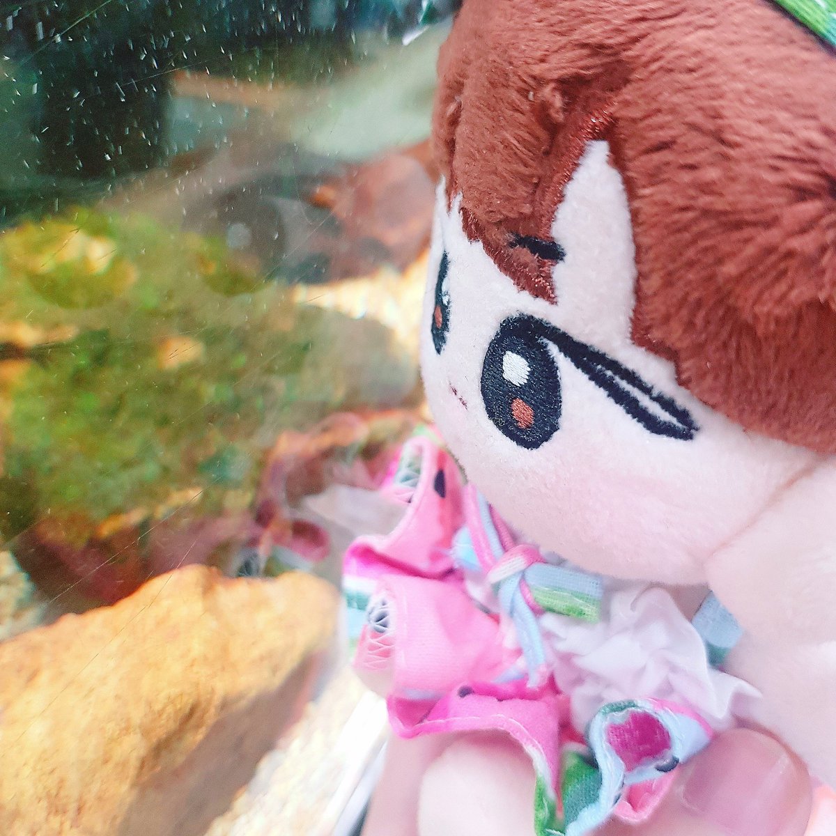 💗*🐟~🐠~🐡~🐬*💗

➖

▶️ 입금연장 ~ 5/11 까지
☑ tinyurl.com/y8dx26wx