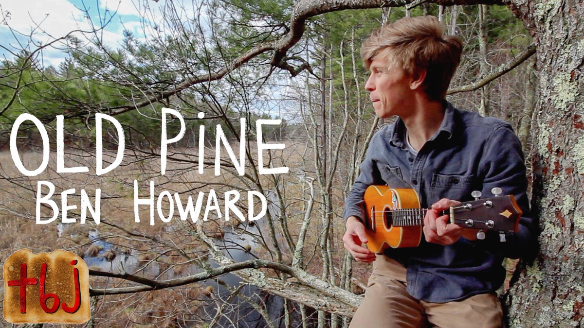 bananacactusuke's tweet photo. 🌲🪕  NEW VIDEO  🪕🌲

Episode 11 of The Breakfast Jams, a cover of Old Pine by Ben Howard. 

📺 Watch here: https://t.co/YjvWnzU4mF https://t.co/NhKUa9s0Zg