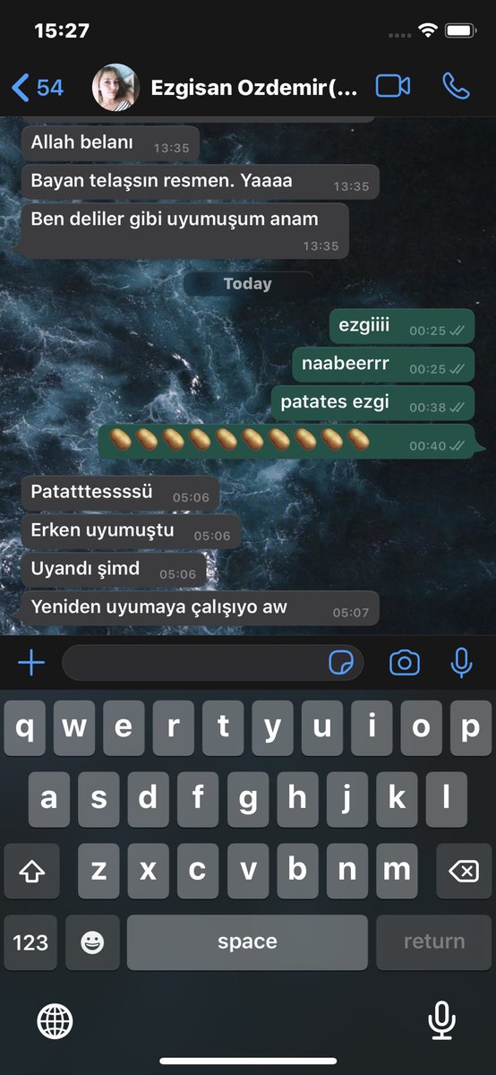 gece salca olmusum yine herkese teror ustune teror estirmisim allah da beni kahretsin