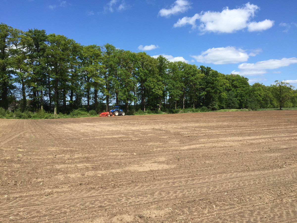 Het akker-mengsel is vandaag ingezaaid in de strook rondom ons maisland. Mengsel bevat vooral granen en enkele bloemen. Misschien wat minder mooi voor de passant, maar het kan dan dienen als voedselakker voor allerlei dieren.
 #LandvanWaarde #planetproof