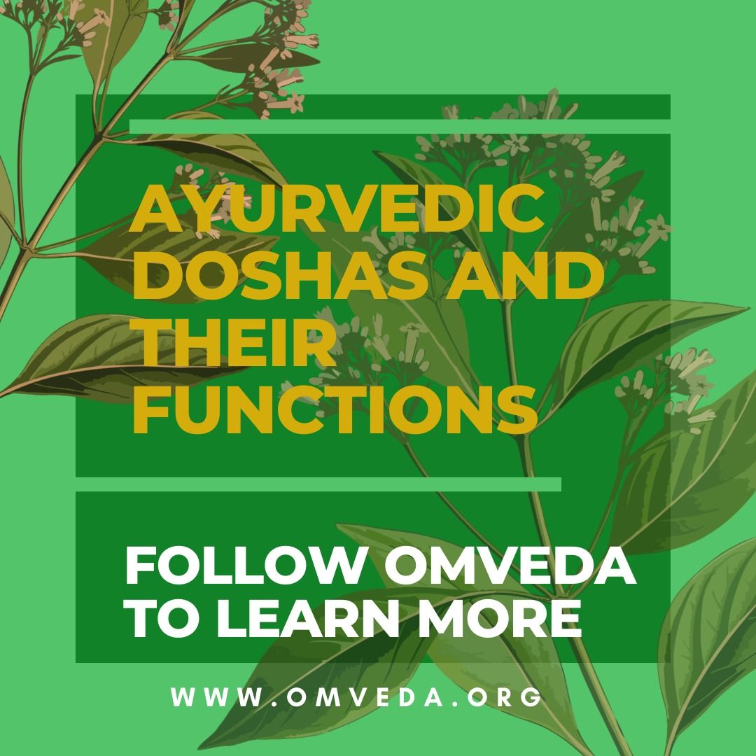 OmVedaOrg's tweet photo. In this post, you are going to learn about ayurvedic doshas and their functions. Because if you have a good knowledge of these doshas then your lifestyle getting very easy and good. 
visit our website: https://t.co/V4tPntmlWh
#ayurveda #alnacare #covid_19 #corona #quarantine https://t.co/eut9xwzYb4