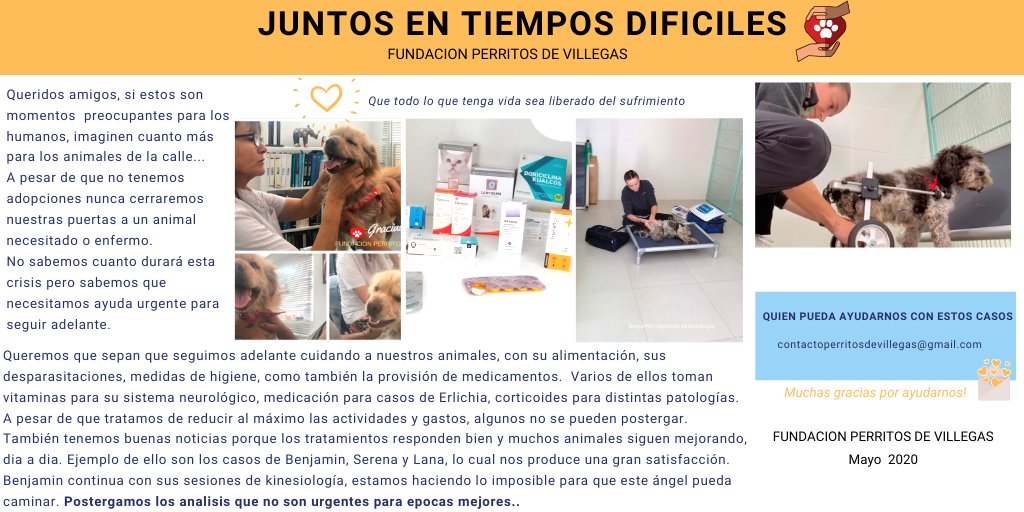 pdevillegas's tweet photo. Si estos son momentos difíciles para los humanos, imaginen cuanto mas  dificiles para los perros de la calle...
#GivingTuesdayNow 
@benevity https://t.co/g0sJlrh0l7