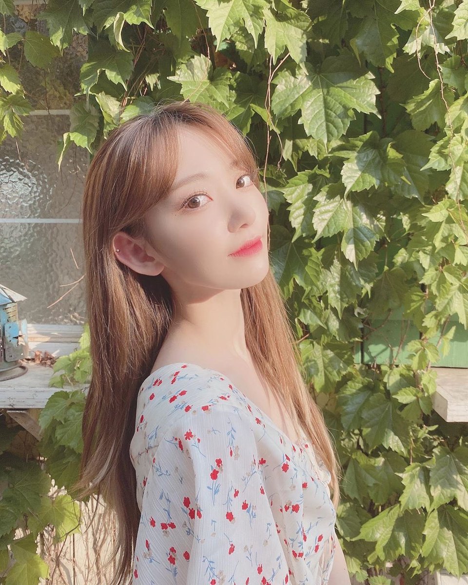 sanashu1229's tweet photo. さくちゃん
か、可愛すぎる、、、

森の中の妖精🧚‍♀️🧚‍♂️🧚‍♀️

#IZONE
#宮脇咲良 https://t.co/dROgBbd1yk