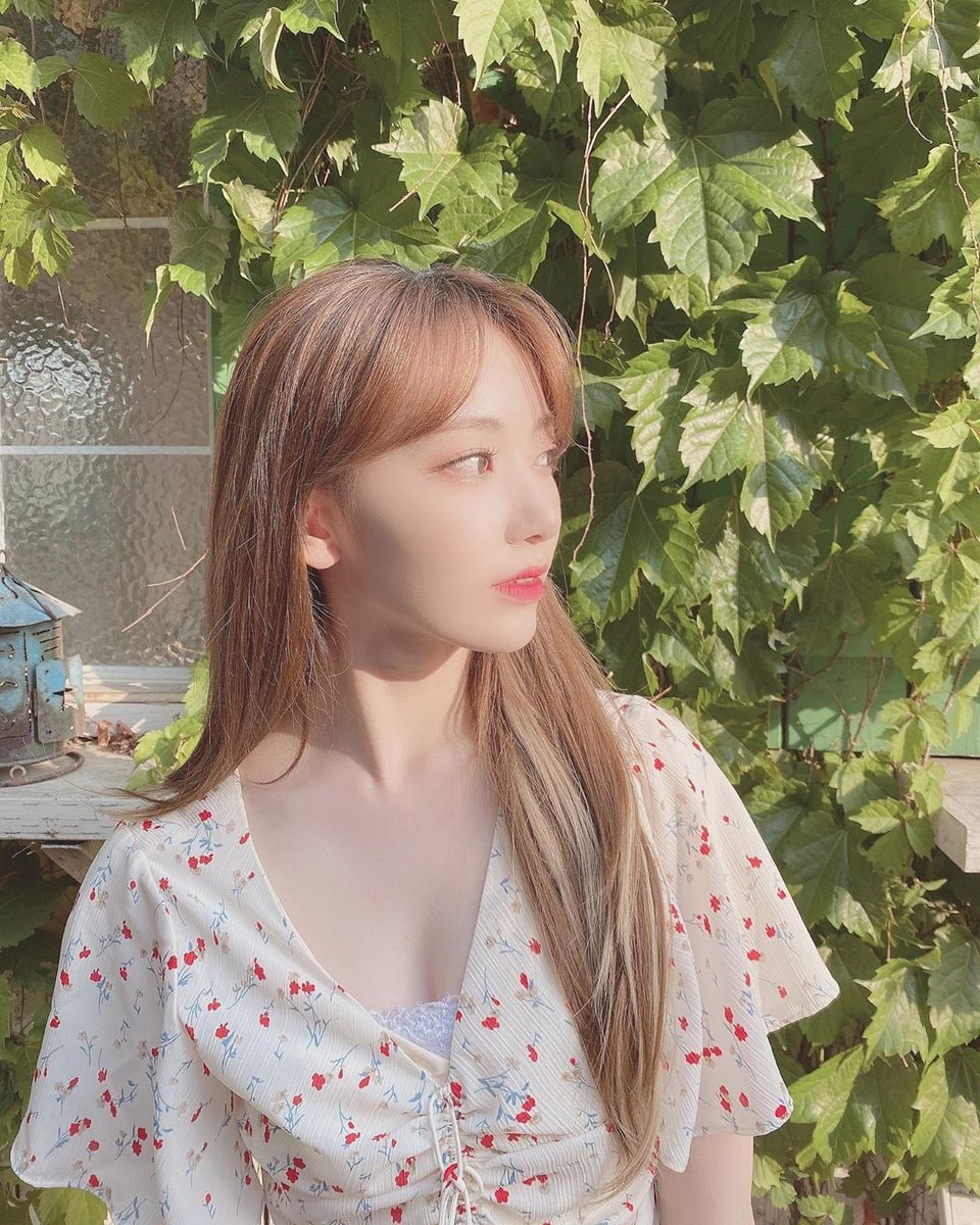 sanashu1229's tweet photo. さくちゃん
か、可愛すぎる、、、

森の中の妖精🧚‍♀️🧚‍♂️🧚‍♀️

#IZONE
#宮脇咲良 https://t.co/dROgBbd1yk