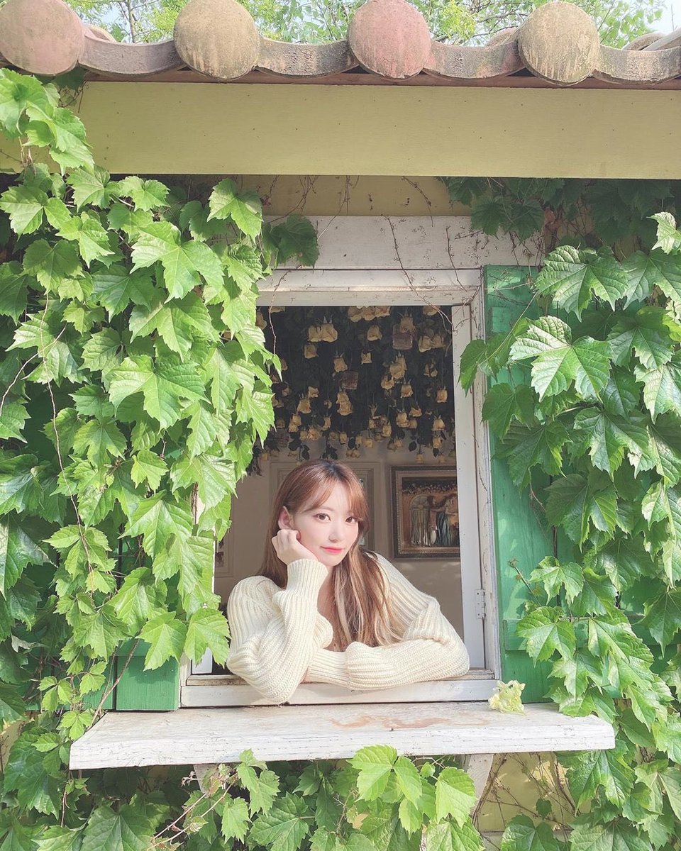 sanashu1229's tweet photo. さくちゃん
か、可愛すぎる、、、

森の中の妖精🧚‍♀️🧚‍♂️🧚‍♀️

#IZONE
#宮脇咲良 https://t.co/dROgBbd1yk