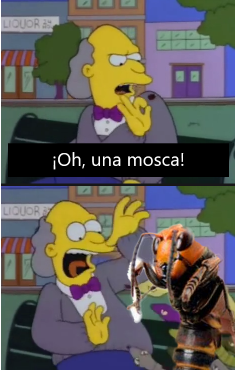 Ver imagen en Twitter