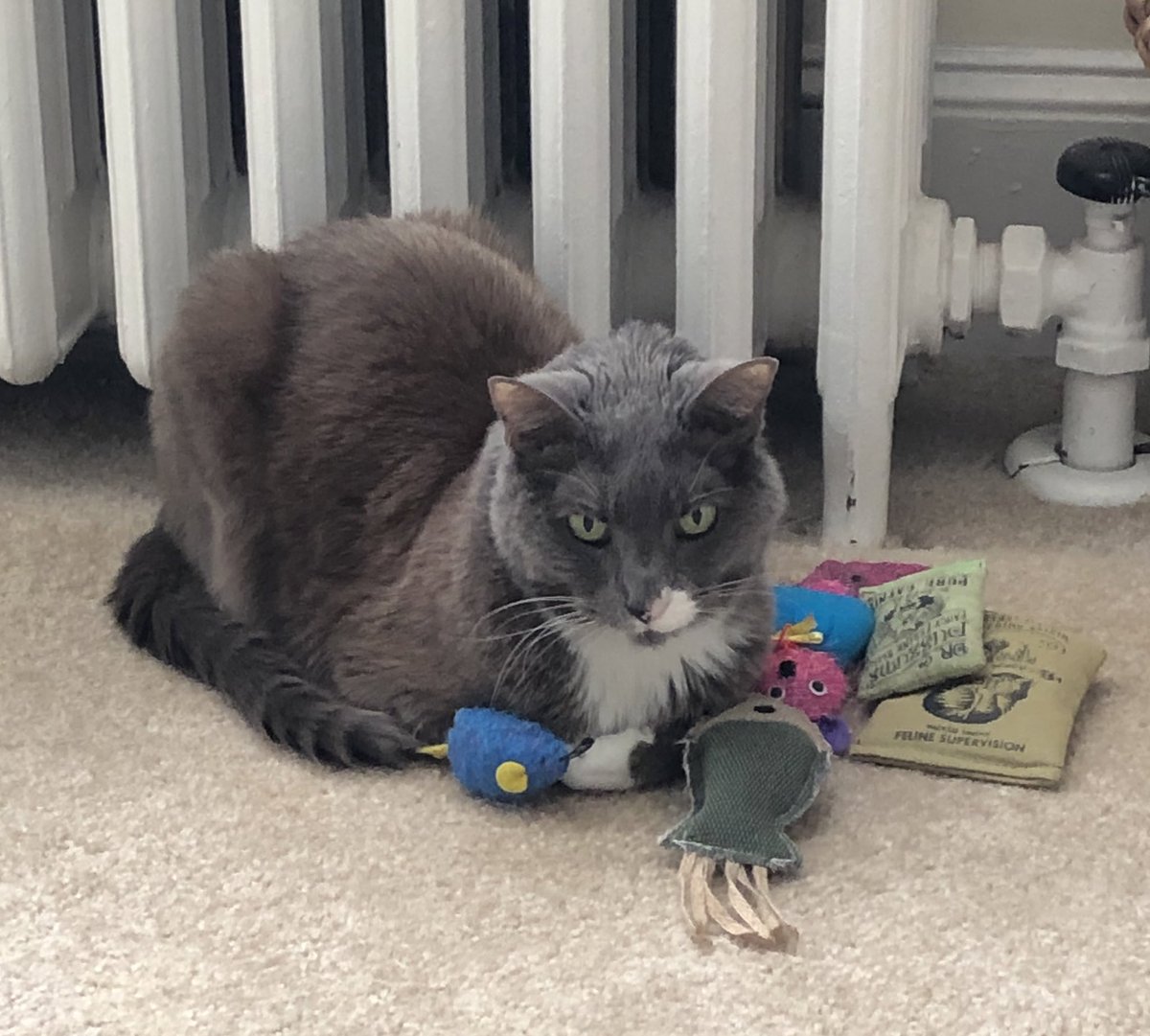 Dan Thornhill tweet media