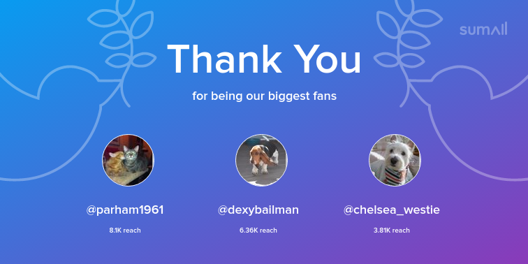 Our biggest fans this week: parham1961, dexybailman, chelsea_westie. Thank you! via sumall.com/thankyou?utm_s…