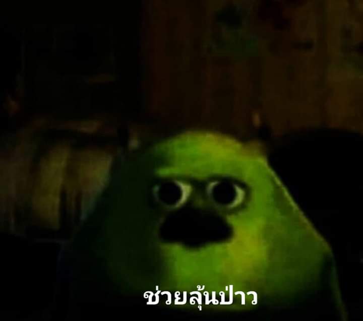 ซันอยากเกิดเปนแมว tweet media
