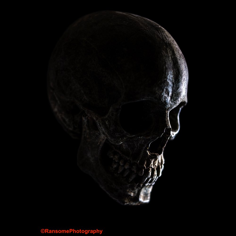 RansomePhoto's tweet photo. #skull #bone #skeleton #horror #fantasy #portrait #lighting #duellighting #mask #masks #colourgels #dark #art #colour #color #art #face #stilllife #photography #surrealism #surreal #photographoftheday #potd  #image #dreams #portraiture #portraitphotography #stayathome https://t.co/huJfTmOlw9