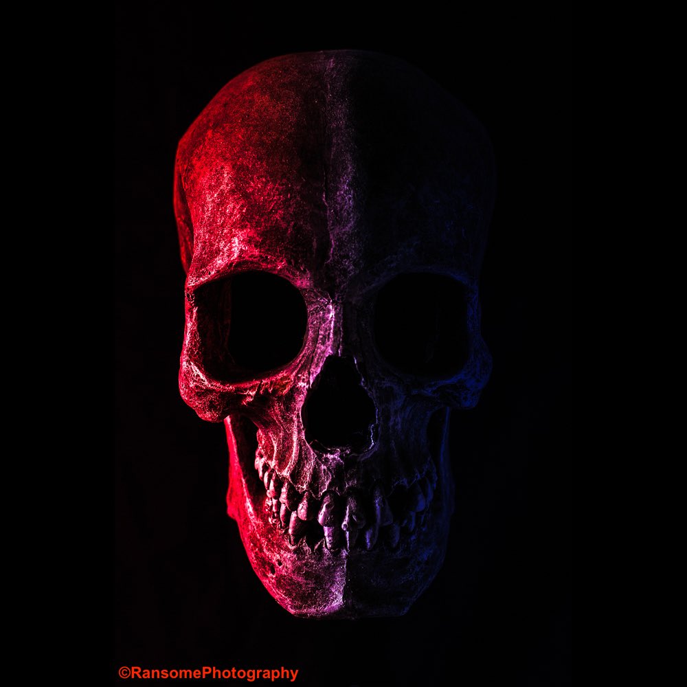 RansomePhoto's tweet photo. #skull #bone #skeleton #horror #fantasy #portrait #lighting #duellighting #mask #masks #colourgels #dark #art #colour #color #art #face #stilllife #photography #surrealism #surreal #photographoftheday #potd  #image #dreams #portraiture #portraitphotography #stayathome https://t.co/huJfTmOlw9