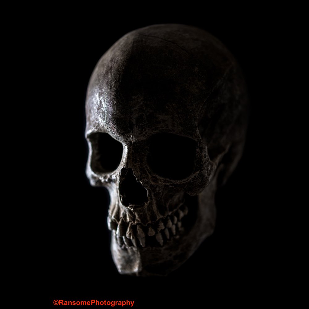 RansomePhoto's tweet photo. #skull #bone #skeleton #horror #fantasy #portrait #lighting #duellighting #mask #masks #colourgels #dark #art #colour #color #art #face #stilllife #photography #surrealism #surreal #photographoftheday #potd  #image #dreams #portraiture #portraitphotography #stayathome https://t.co/huJfTmOlw9
