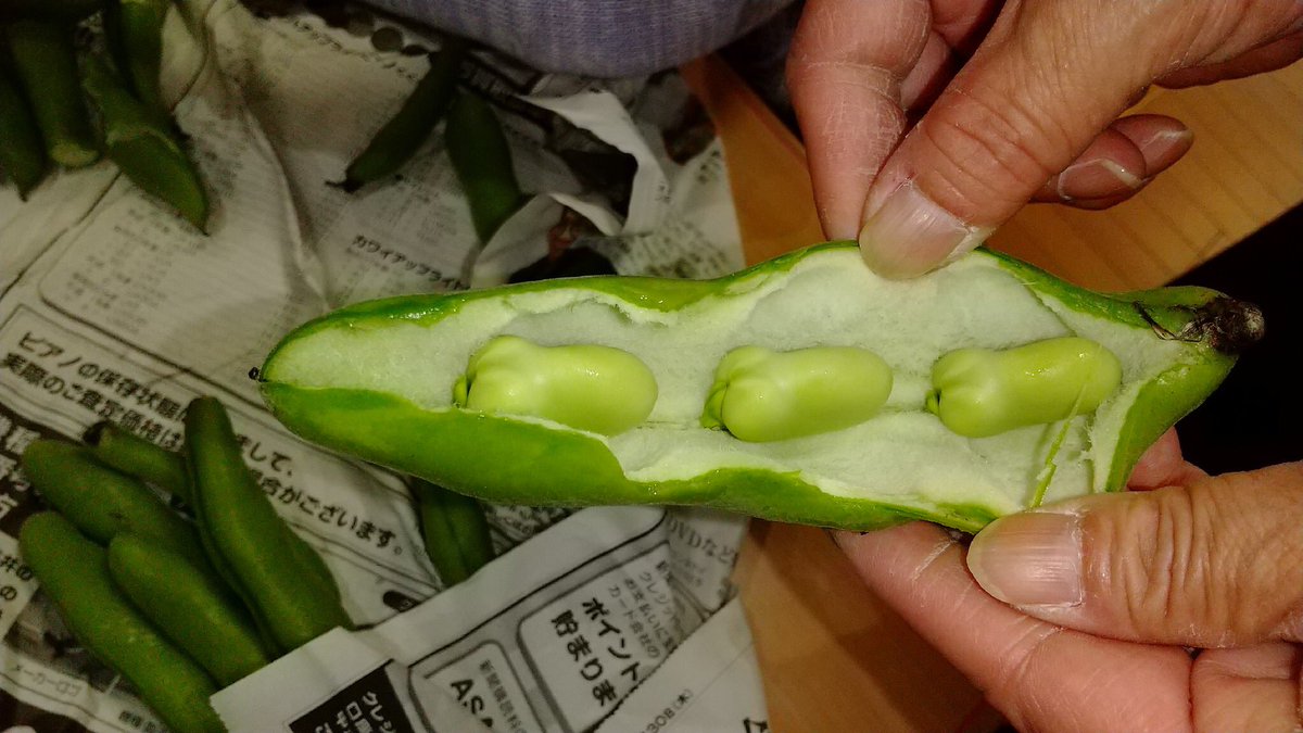 おたふく豆 おたふく豆