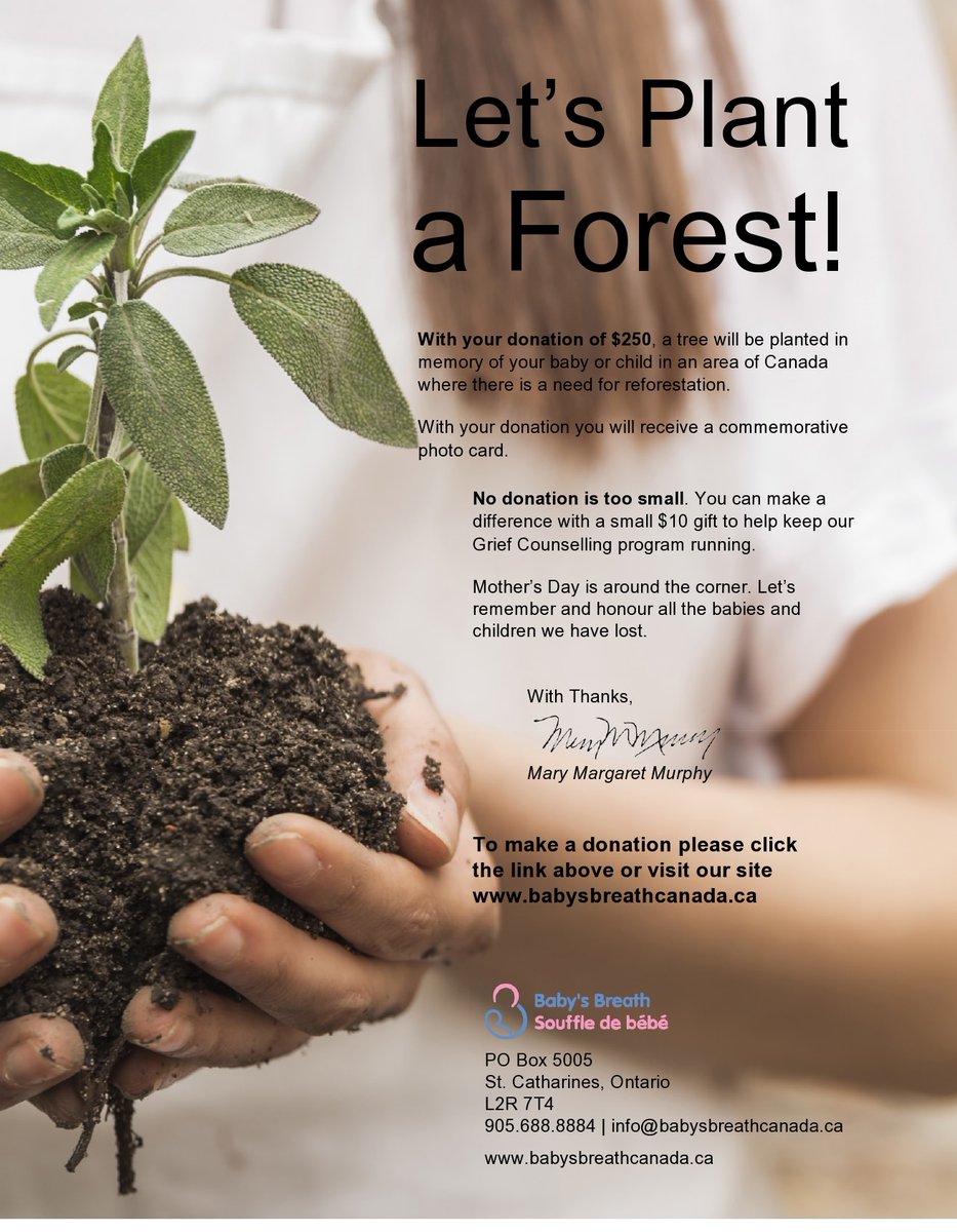 Baby's Breath tweet media