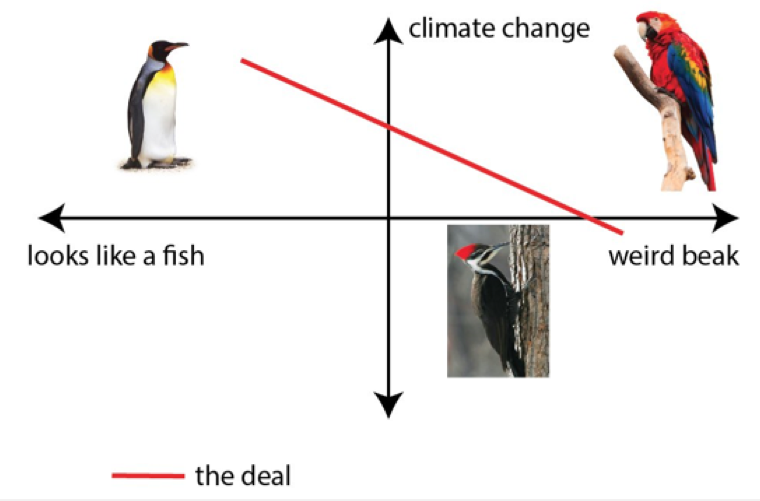 What’s the Deal with Birds? irispublishers.com/sjrr/pdf/SJRR.… | Scientific Journal of Research and Reviews| #ornithology