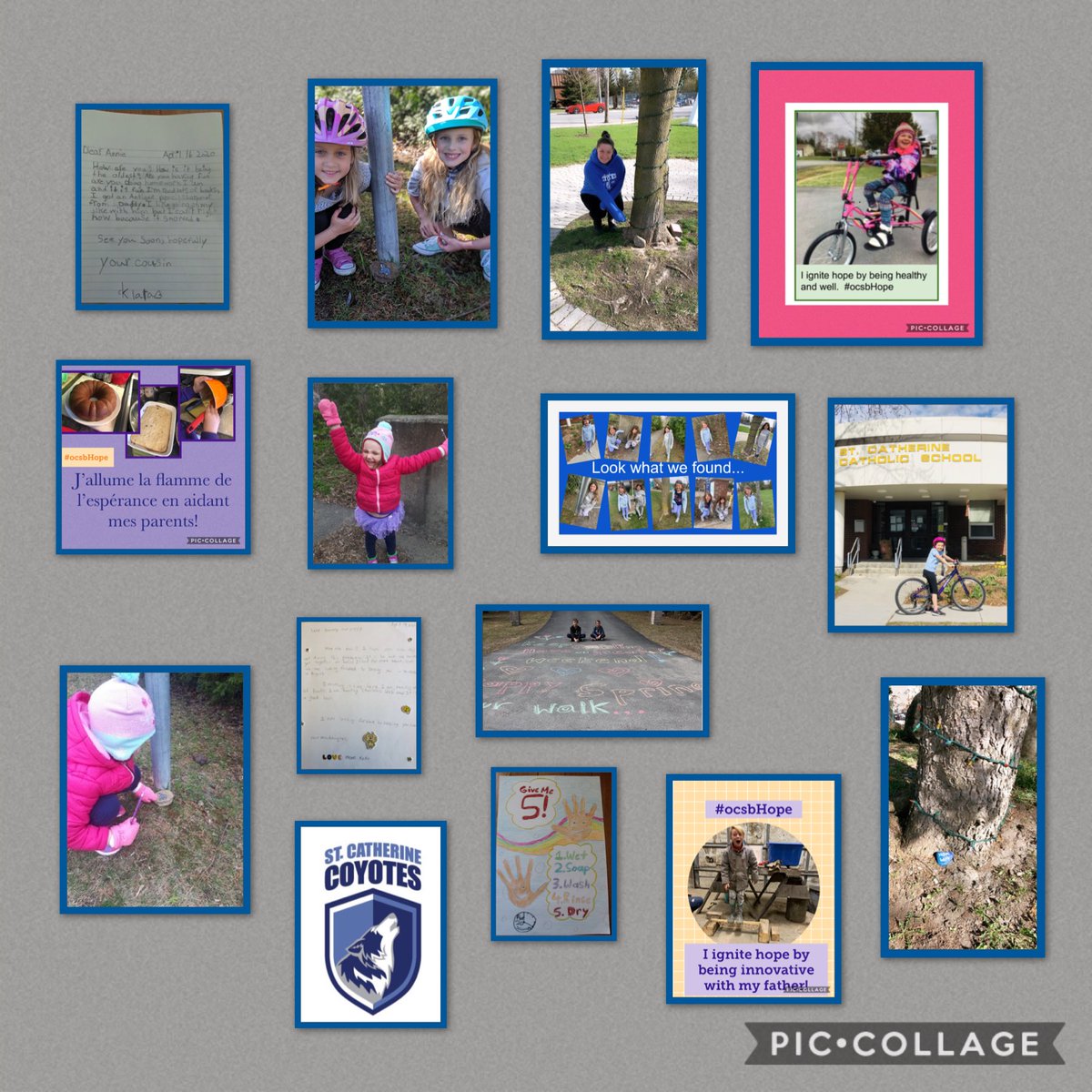 StCatherineOCSB's tweet photo. HOPE ignites from children’s discoveries and wonders. Thank you St. Catherine Coyotes for reminding us every day.  #ocsbHope https://t.co/mXoBFaPf31