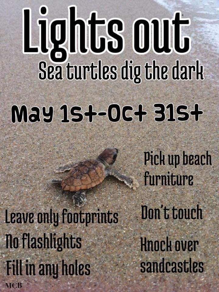 thewebbix's tweet image. Live on the coast or enjoy visiting the beach? Please take note: #seaturtlenesting
#nature #turtles 
Sea Turtle Conservancy
@conserveturtles 

It's May and sea turtle nesting season is OFFICIALLY here!

Check out these great reminders from Mission: Clean Beaches @MCleanBeaches