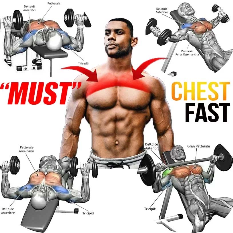 bbodybuildcom's tweet image. How to Grow Chest Muscles
If your chest muscles do not want growth, then this article will help you, where we'r collected the most popular tips on how to grow chest muscles.
Do  #chestexercises #chestgrow #chesttraining Link in 👇 weighteasyloss.com/why-your-chest…