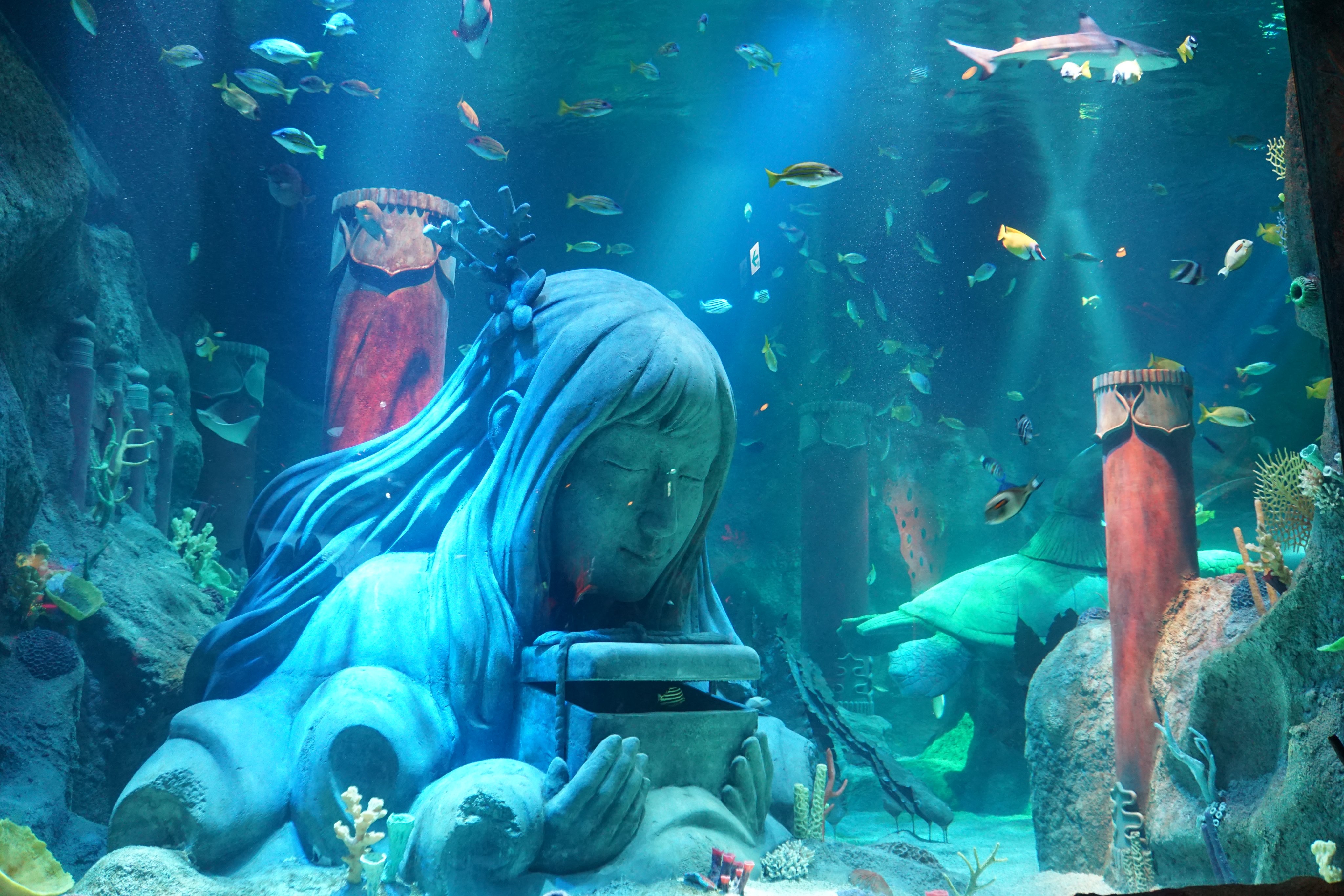 めｎち 在 Twitter 上 突然ですが水族館クイズです いらすとやの汎用性が高すぎるので いらすとやの素材だけで国内のある水族館 を表現してみました 各画像はどの水族館を示しているでしょうか 難易度は徐々に上がります T Co Ju8mu2fb1l Twitter