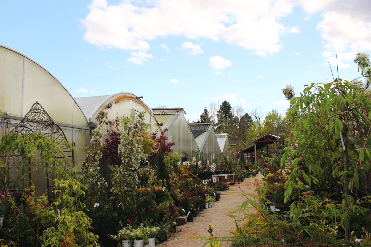 EdwardsGH's tweet photo. Update: New Hours and Limited Entry Rules

We will be extending our hours of operation to provide more opportunity for our customers to shop in-person at the greenhouse. These hours will be Tuesday-Saturday: 9am-5pm and Sunday: 10am-5pm. We will remain closed on Mondays. https://t.co/tigxtV8Q6k