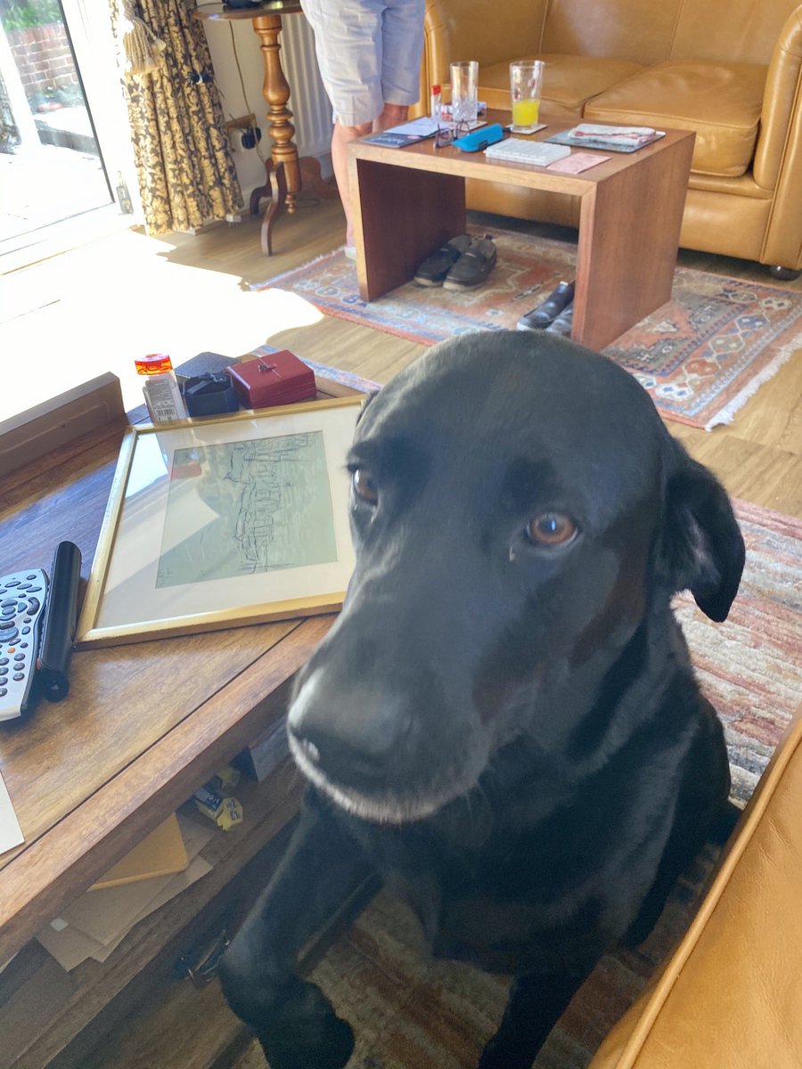 nick_davies66's tweet photo. Been on a social distance valuation call this morning, shame they didn’t want to sell the dog ! #SocialDistancing #blacklabrador #valuation #stillworking #TuesdayTreat #twometerrule #working https://t.co/uMCnmtNSGb