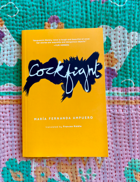 FeministPress's tweet photo. Happy #BookBirthday to COCKFIGHT by @mariafernandamp 🐓“Ampuero leads the international wave of Ecuadorian writers.”—@nytimeses Get your copy today: https://t.co/lo96FjjWFP https://t.co/Drrve1vlAA