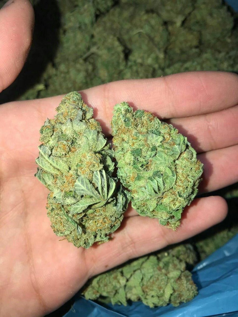 AlsonJones's tweet photo. #mmjnyc #mmjnj #njstoners #newjerseycannabiz #newjerseycannabusiness #newjerseydespensary #cannabiscommunity #cannabis #cannabisculture #cannabisindustry #cannabisnews #weedforsale #weed #WeedLovers #weedlover #weedfrance #weedinparis #weedinohio #kush https://t.co/q3emR0zEBz
