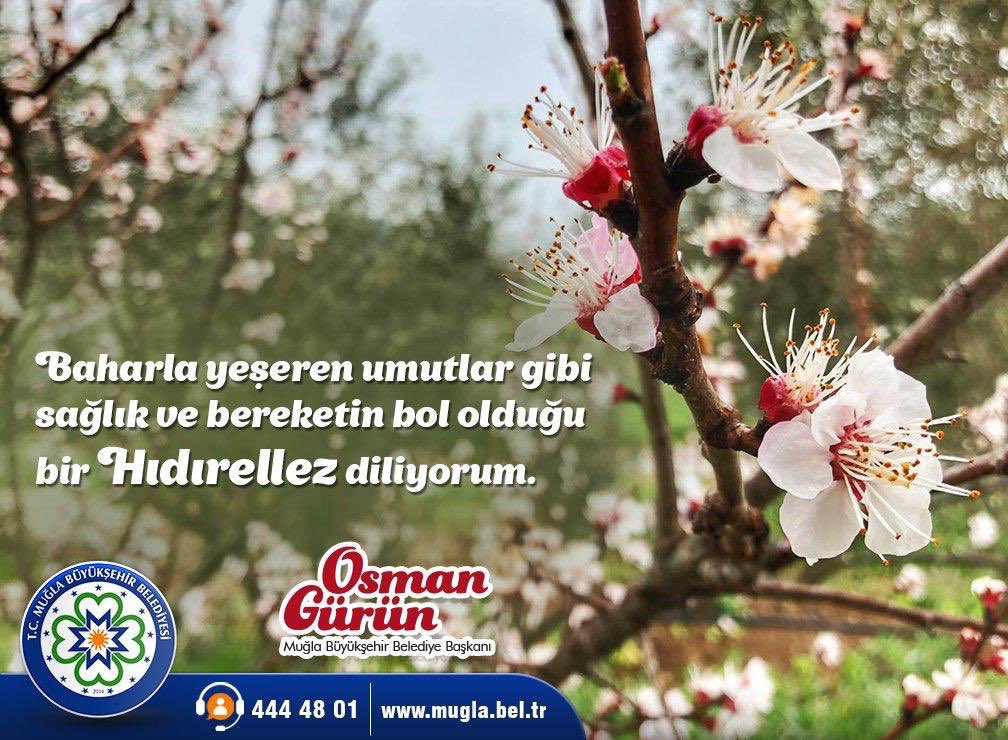 Osman Gürün