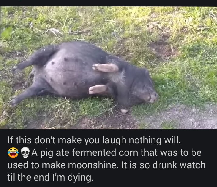 NugrahaScience's tweet photo. Pic not funny, but the video so funny 😅✌ https://t.co/oWGlxNfPbB