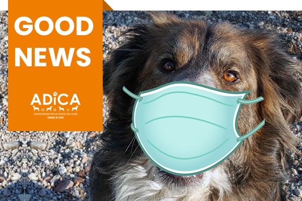 ADICA Associazione per la Difesa del Cane - ODV tweet media