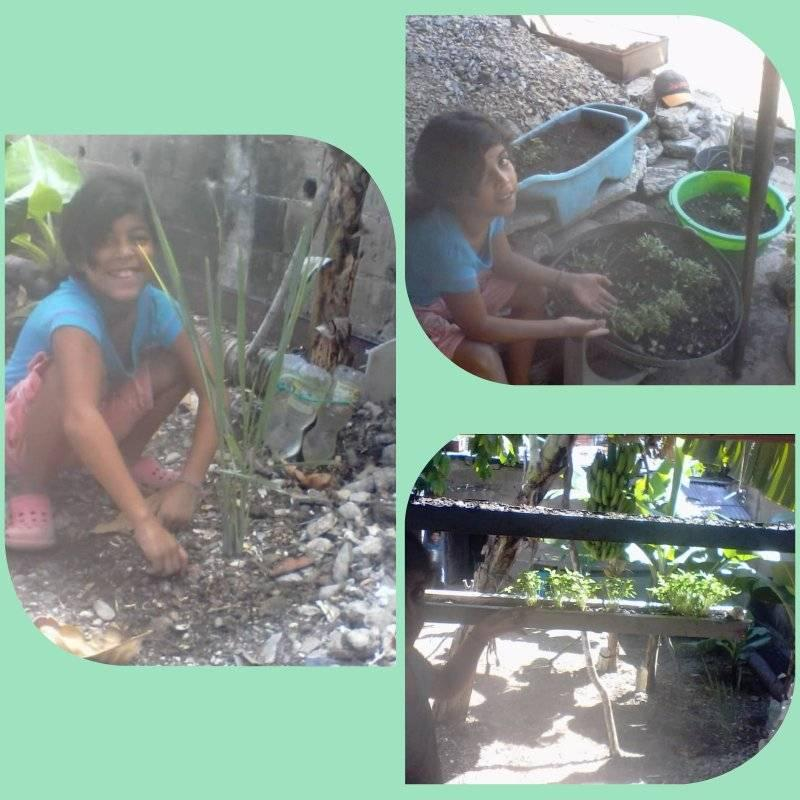 PTMS_BERMUDEZ's tweet photo. @SaIaZESucre @karsanc @LISBE4  E Bolív Las Azucenas. Directora María Alvarez. Docente:Teresa Cabello. 4 Grado. Estudiante:Reinabeth Narvaez. Pedagogia productiva: Seguimiento del Crecimiento de la planta de Malojillo y del Semillero de Tomates @PTMS_BERMUDEZ https://t.co/F5K1Ty5ip6
