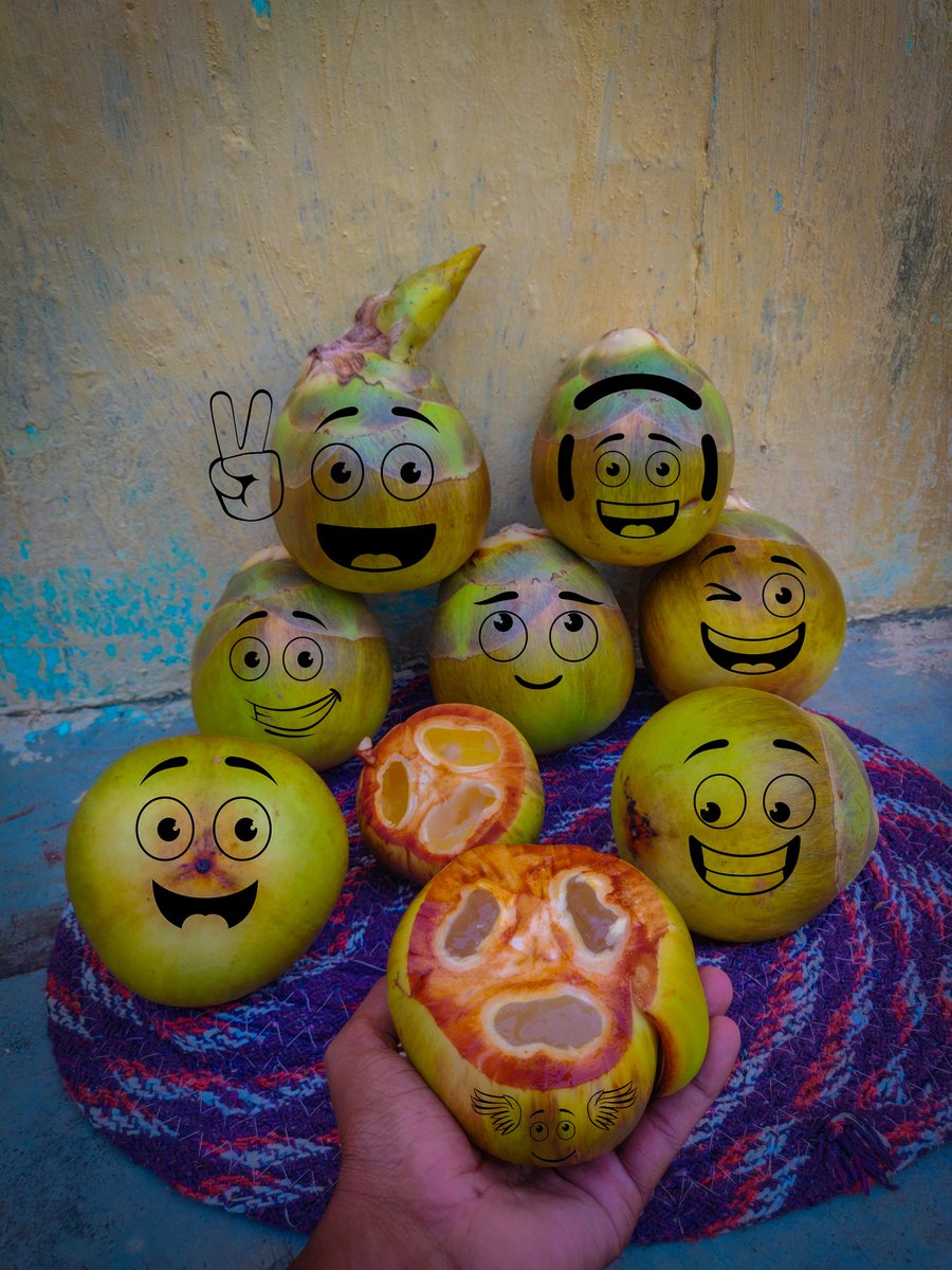 AkhilShatagni's tweet photo. thaati munjalu (ice apple). Summer is made. Don’t need anything else! 😀🌴
#toddyfruit #toddytapper #తాటిముంజలు
#ThaatiMunjalu https://t.co/C9nb2Af2PH