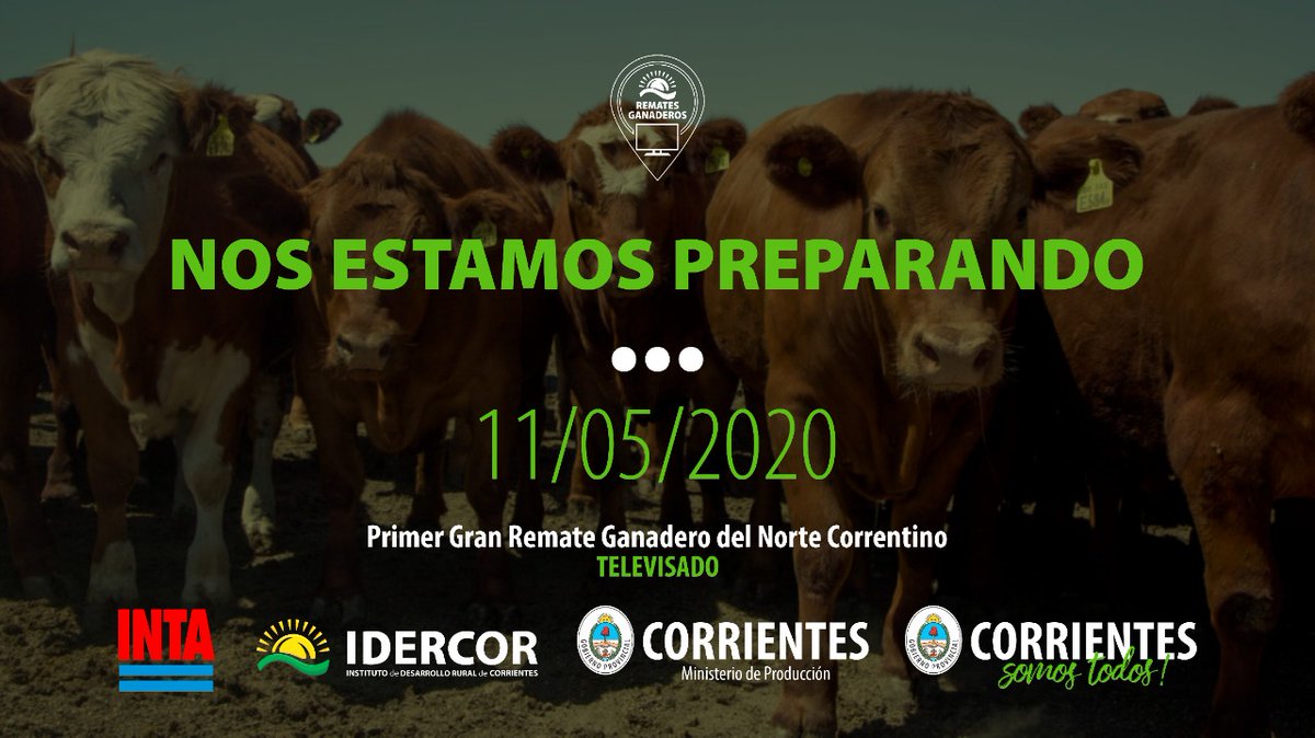 idercorrientes's tweet photo. Cuenta regresiva para el Remate #Televisado en Caá Catí el próximo lunes 11 de mayo por @elrural. Desde el @CorrientesGob por medio de @IDERCOR1, el @mp_ctes y las distintas entidades agradecemos la confianza de productores y compradores. Éxitos en el Remate! https://t.co/OOOVbkQZAc