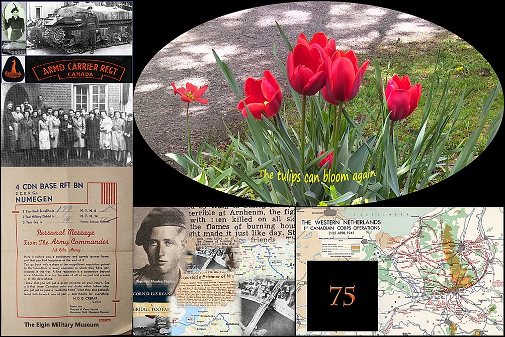 Museum Naval History tweet media